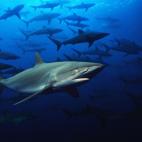 5c8a9e0c2400006f054c17d6