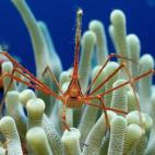 5c8a9e0d2400006b054c17d8