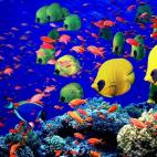 5c8a9e0d3b000070066c36d9