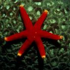 5c8a9e0e2300003000e6cf58