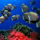 5c8a9e0e2500000704c94857