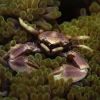 5c8a9e0f2000009d036f642c