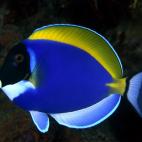 5c8a9e10240000f404a352e8