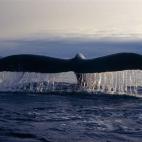 5c8a9e102500001304c9485f