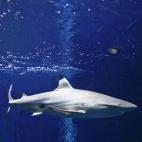 5c8a9e112500001304c94861