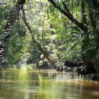 Considerado uno de los pa&iacute;ses m&aacute;s felices del mundo, Costa Rica es un para&iacute;so situado entre el Pac&iacute;fico y el Mar Caribe. Un lugar que alberga el 4% de las especies animales y vegetales conocidas hasta la fecha y que o...