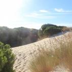 Una pieza clave en nuestro ecosistema marino, lleno de marismas y ubicado en la costa del Atl&aacute;ntico, entre las provincias de Huelva, C&aacute;diz y Sevilla. El parque nacional es el enclave al que ir a ver los alcornocales y las dunas en ...