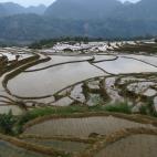 Con unos paisajes de infarto que fusionan mar y monta&ntilde;a, Vietnam invita a explorar todos sus territorios. Entre ellos se incluye la grandiosa reserva natural de Pu Luong, que ofrece un hermoso paisaje lleno de arrozales en terraza, junto ...
