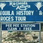 imwearingcons @ Flickr.