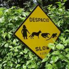 Craig1black @ Flickr.