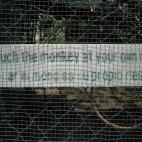 Kyle Simourd @ Flickr.