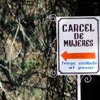 David Light Orchard @ Flickr.