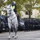 5c8b78af22000031001afe7c