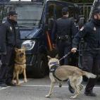 5c8b78af2300002f00e8485b