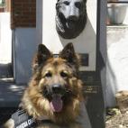 5c8a8d652400006d054bfdef