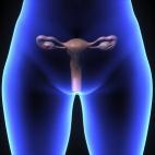 De acuerdo con un estudio publicado en el Journal of Cancer Institute de Oxford, los hombres que consumieron al menos 6 tazas diarias de café redujeron su riesgo de cáncer prostático por un 20%. Otro estudio encontró que las mujeres que toma...