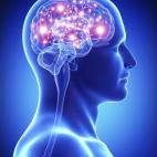 Los tomadores de café están más propensos a resistir el desarrollo de demencia y de mal de Alzheimer.