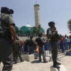 5c8b8317360000a61b6d4477