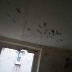 5c8b7aae2400000a05a4d244