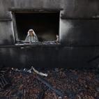 5c8b831d240000f404a4e7b2