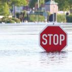 5c8b60852300005400e80a21