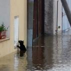 5c8b60862300003000e80a23