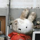 5c8b608622000033001ac039