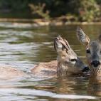 5c8b60882300003000e80a27