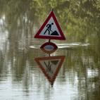 5c8b608c230000d504249391