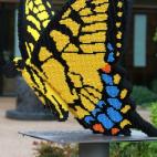 5c8b61202400006b054d547c