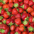 Fresas