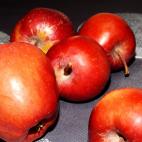Manzana
