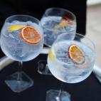 Los gintonics de Martin Miller