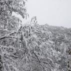 5c8b7d6e22000031001b0a6f