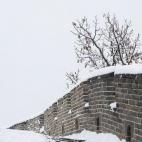 5c8b7d6e240000f7054d9d3b