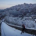 5c8b7d712500000d04cacd55