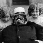 5c8b61922400006d054d55da