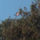 5c8b7cfa2300007f0124dc4b