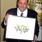 5c8b61812400006c05a49265