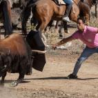 5c8a81d9230000d504232e23