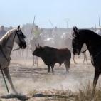 5c8a81d9230000dd04232e25