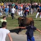 5c8a81df3b000072066c0deb