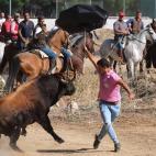 5c8a81e12400006d054beed5