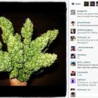 5c8b624c2500000d04ca8807