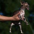 5c8aa600360000e01c6bcb12