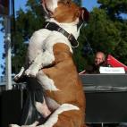 5c8aa601360000ba1a6bcb16