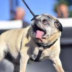 5c8aa601250000bd058178c0