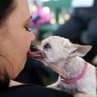 5c8aa6022400006b054c2d5b