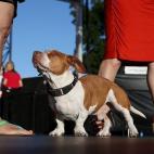 5c8aa603250000e203c95ea9