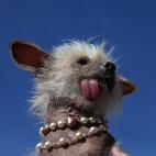 5c8aa6032300000401236ce5